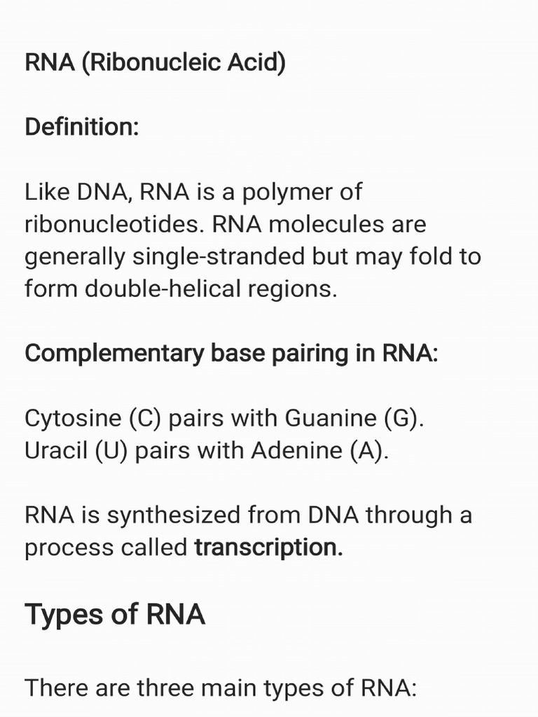 Rna | PDF