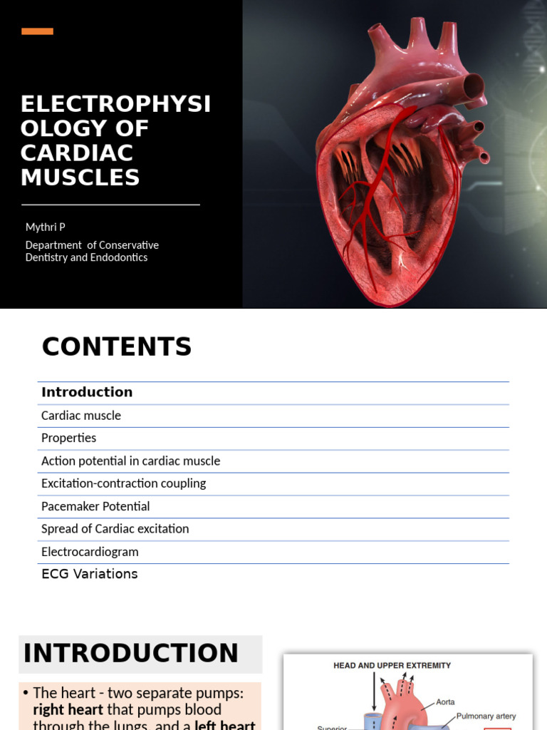 Cardiac Muscle Electrophysiology Explained | PDF | Cardiac Muscle | Heart