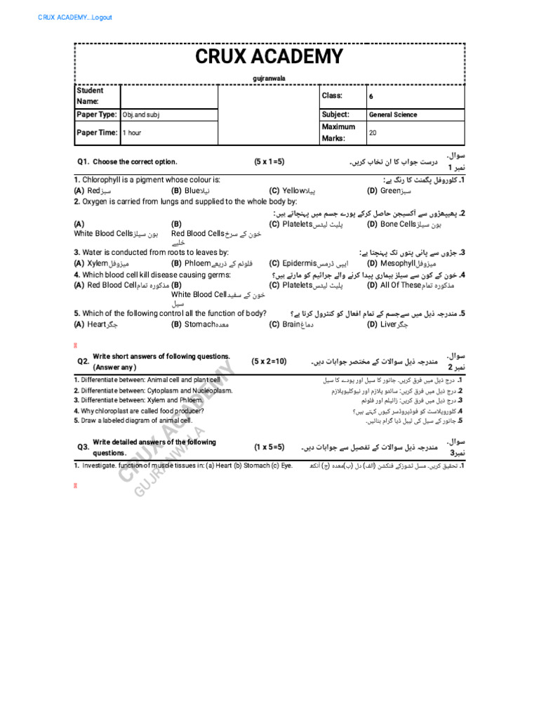 Hussnain 1 | PDF