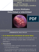 Embarazos Multiples