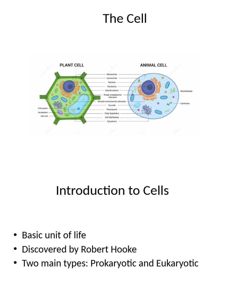 Understanding Cell Structure and Types | PDF