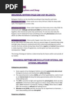 Section 1 - Biological Rhythms and Sleep