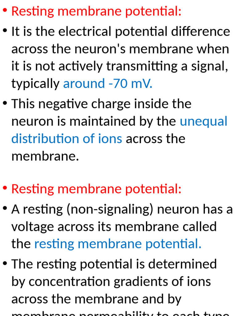 Resting Membrane Potential (3rd Yr) - 1 | PDF | Chemical Synapse | Synapse