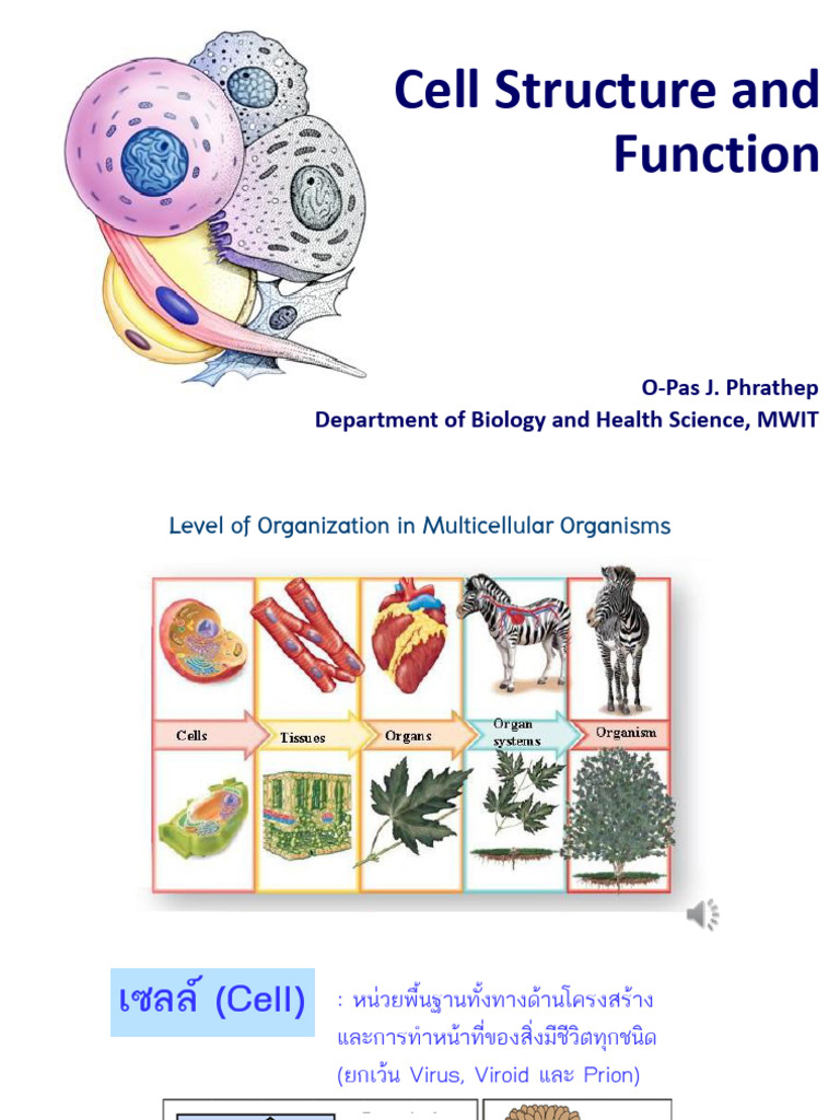 Cell Structure and Function - 2565 - 1 - Part 1 | PDF
