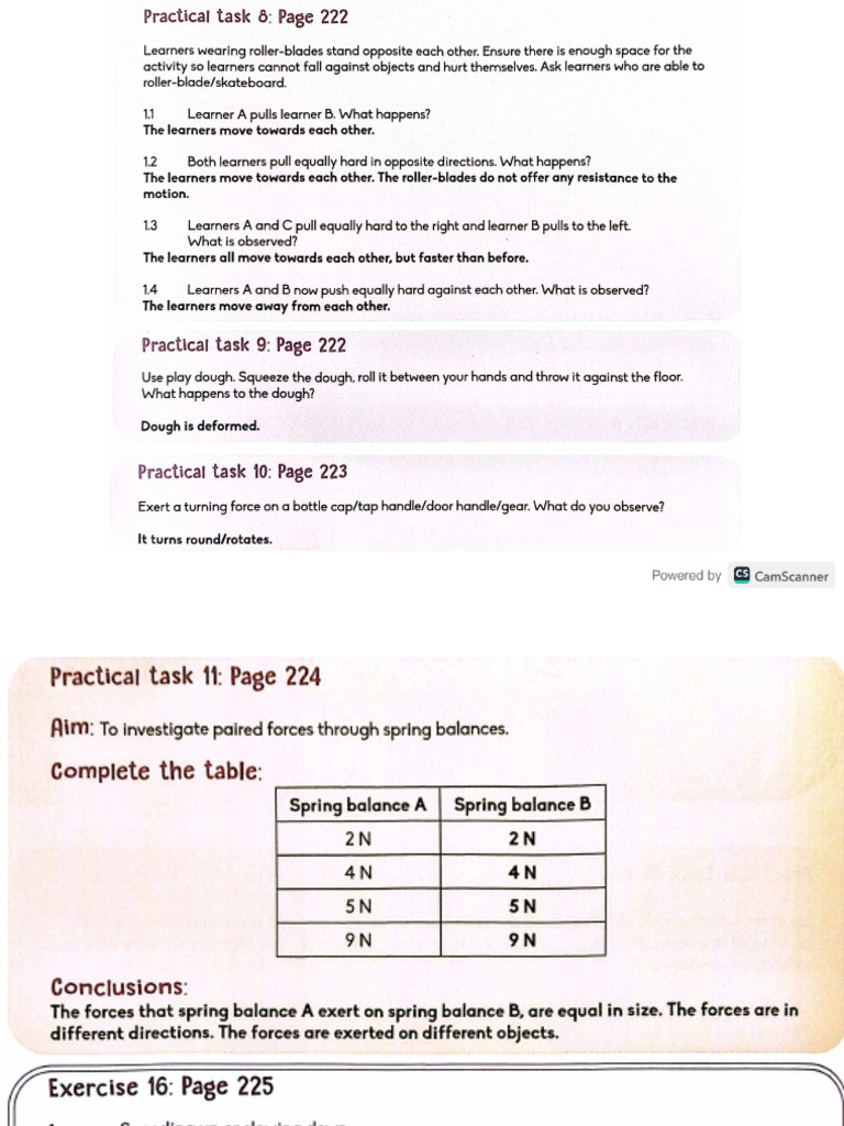 NS DS Term 3 Answers | PDF