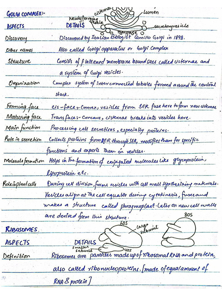 Notes ch1 | PDF