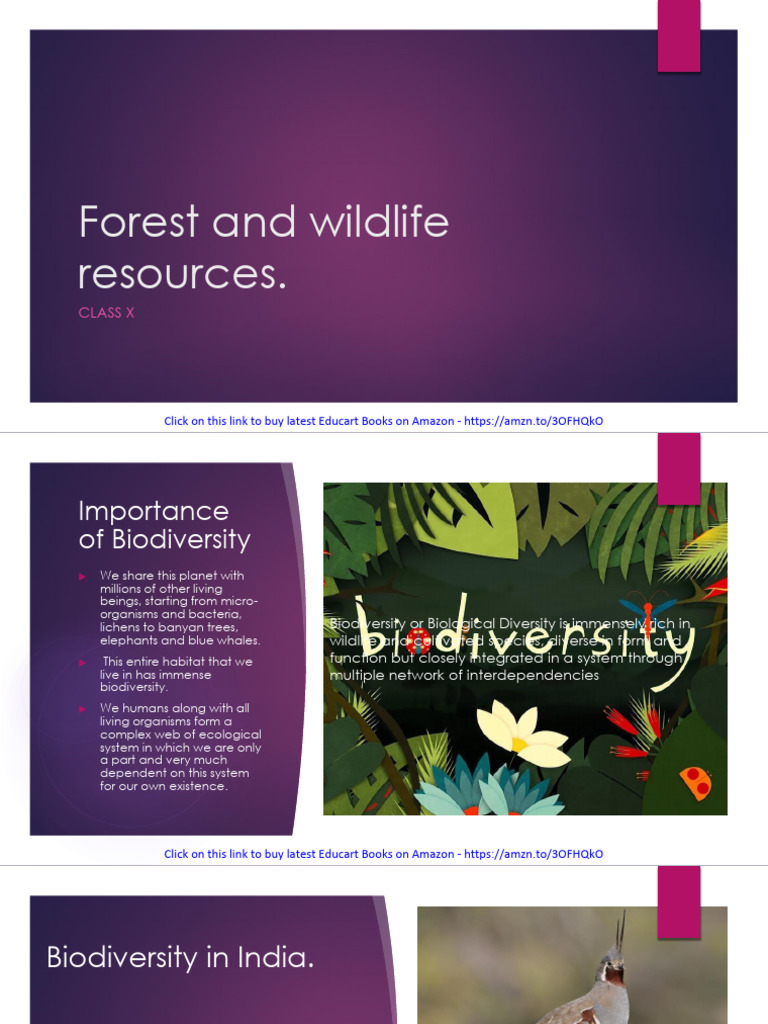 Biodiversity and Wildlife Conservation in India | PDF | Biodiversity ...