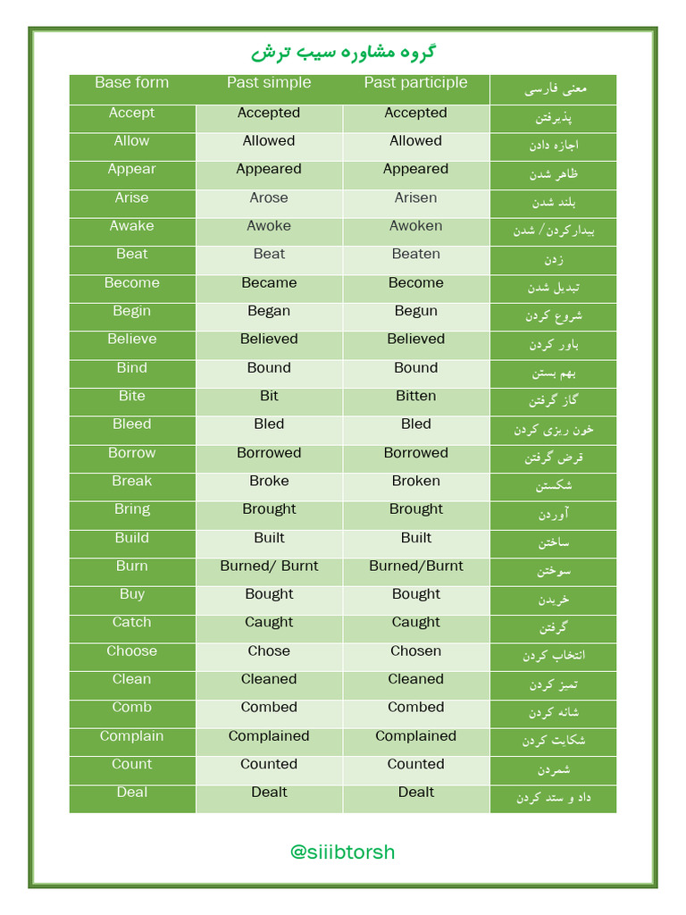 Past Tense Verb Forms in Persian | PDF