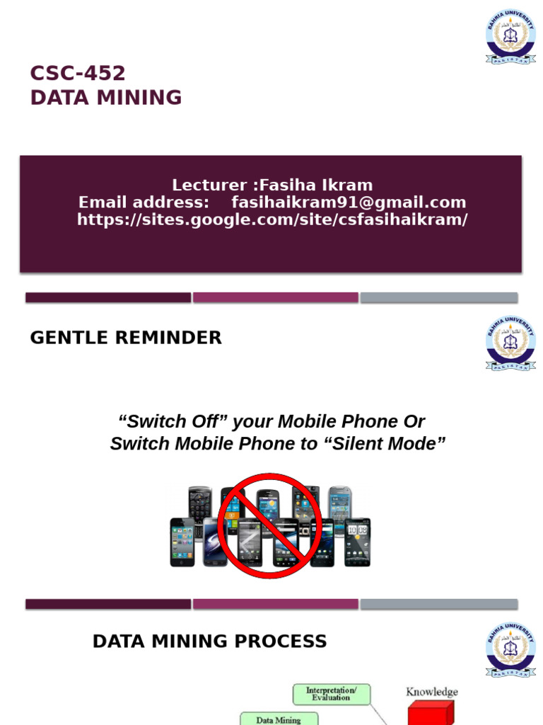Data Mining Process Overview | PDF | Data | Mean