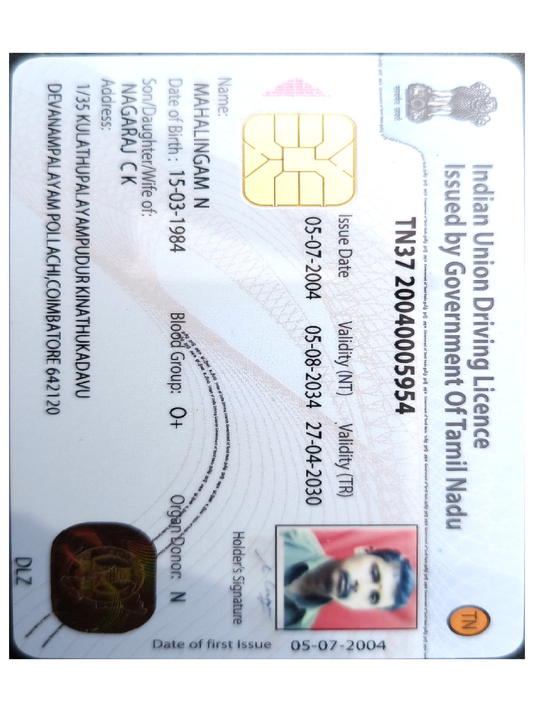 My License New | PDF