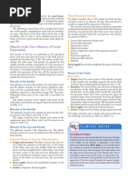 Anatomy and Structure of Lips | PDF | Lip | Human Anatomy