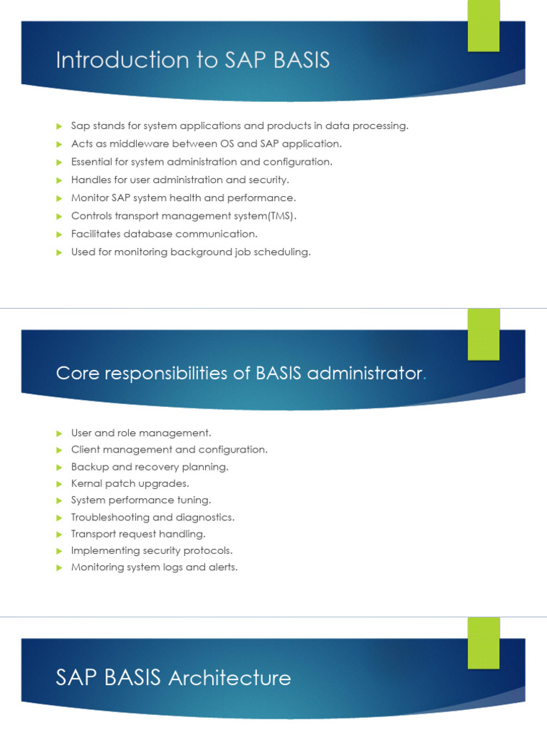 Overview of SAP BASIS Functions | PDF