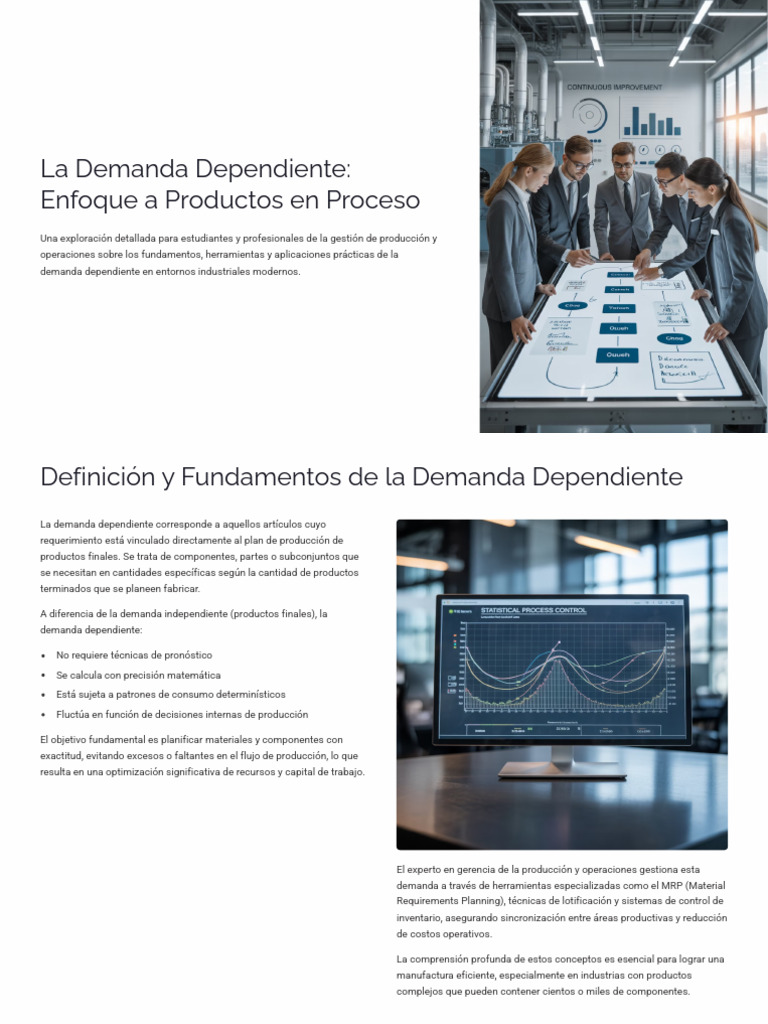 Demanda Dependiente en Producción Eficiente | PDF