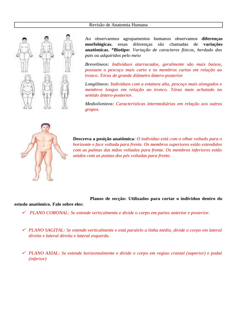 Variações Anatômicas e Estruturas do Corpo | PDF | Cérebro | Sistema ...