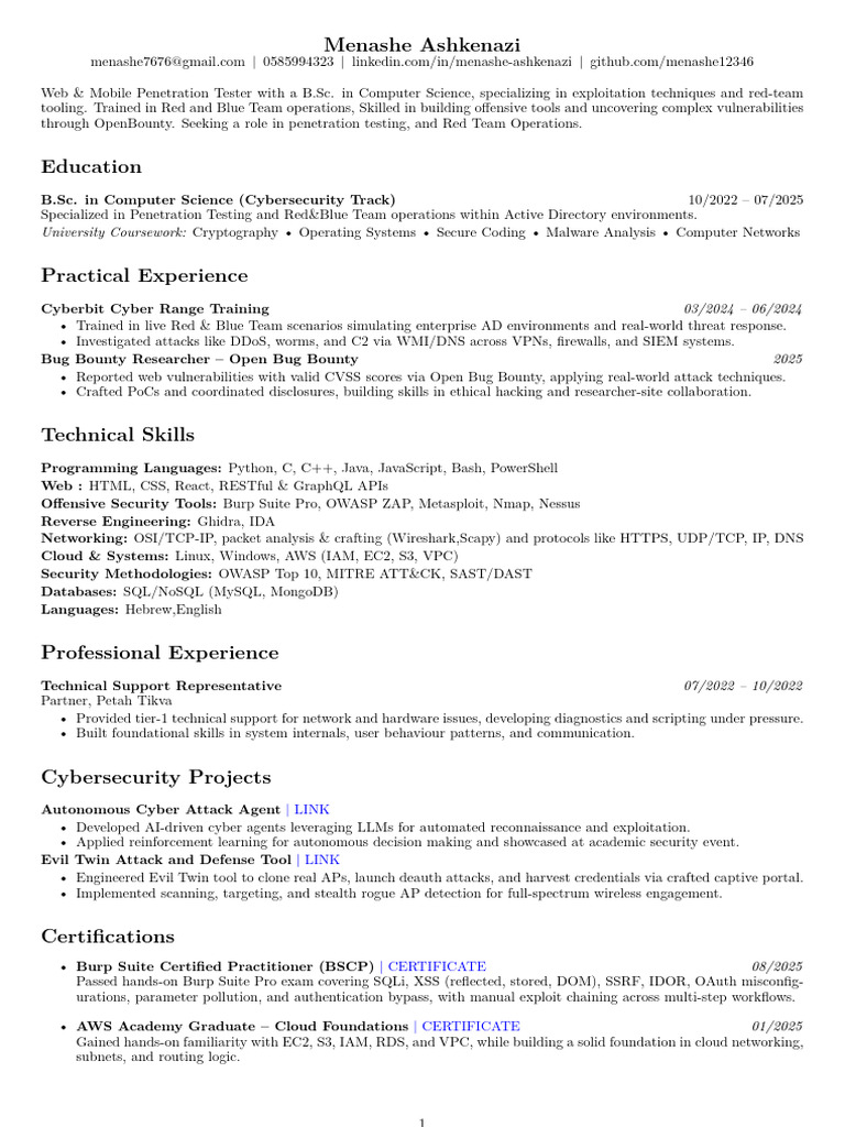 Menashe CV 22 | PDF | Penetration Test | Security
