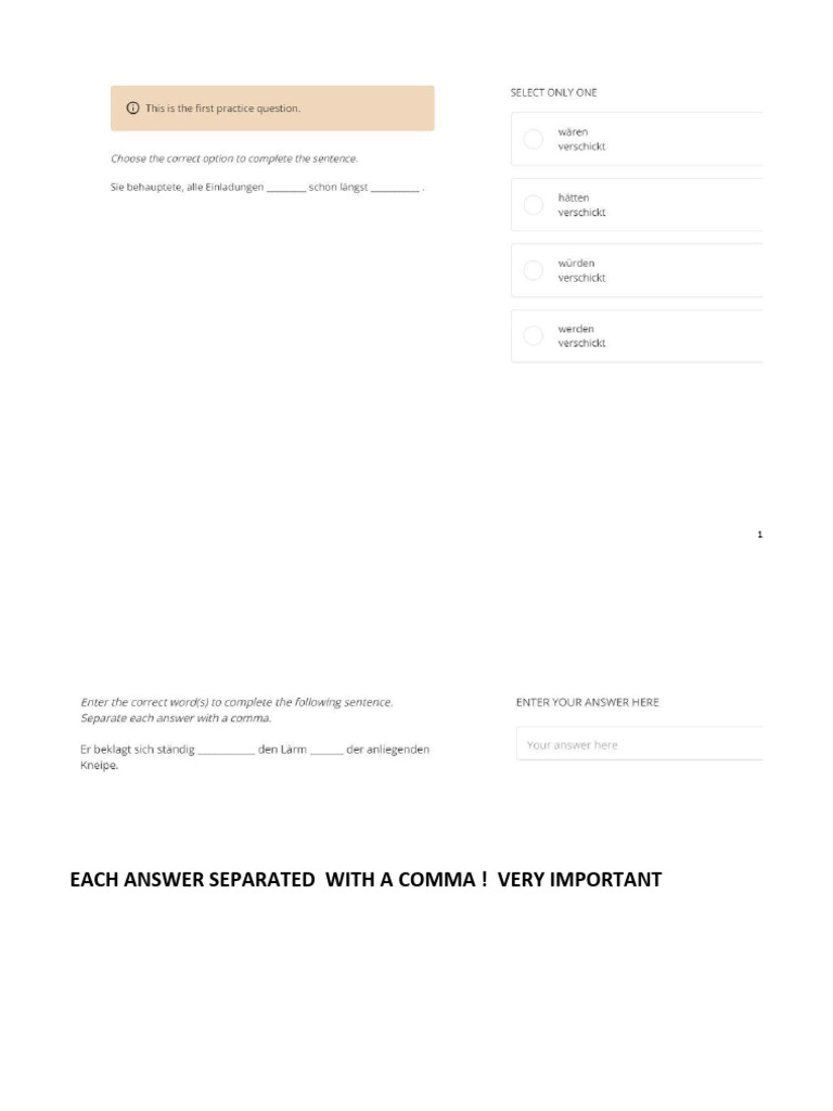 Document Formatting Guidelines | PDF