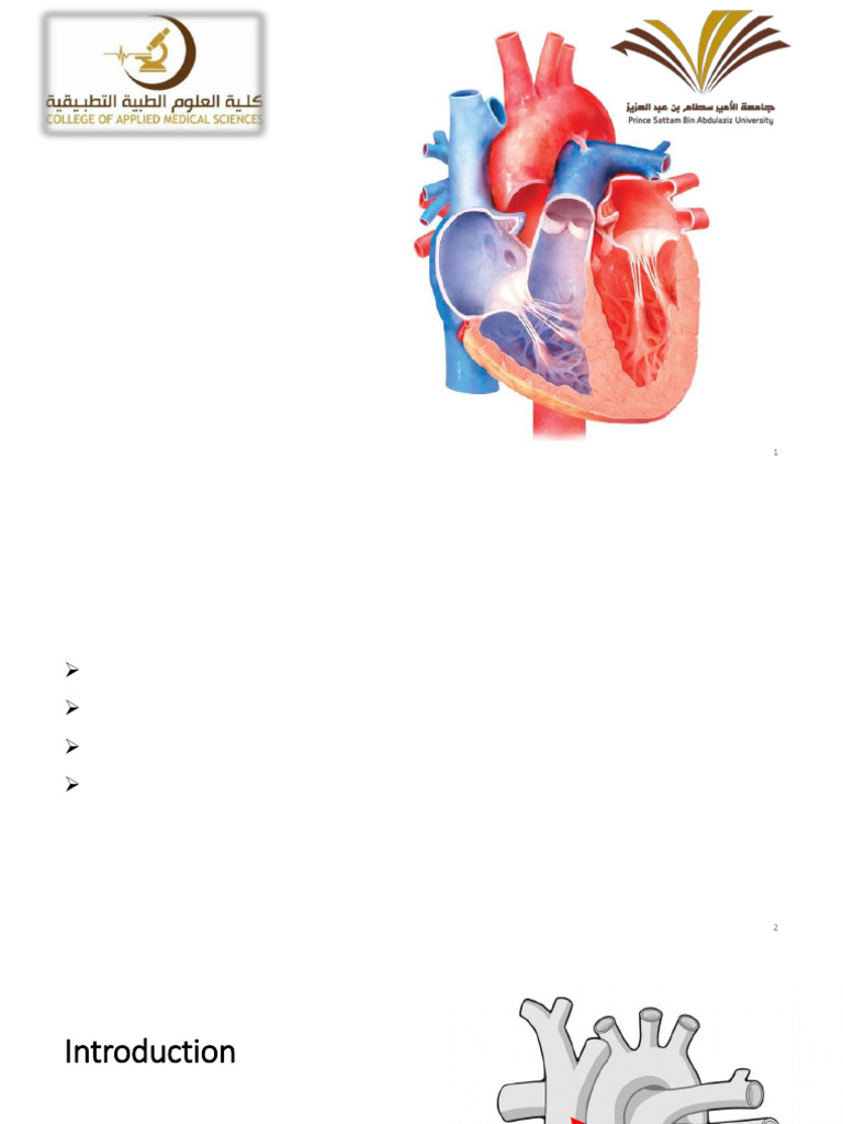 Anatomy and Function of the Heart | PDF | Atrium (Heart) | Heart Valve