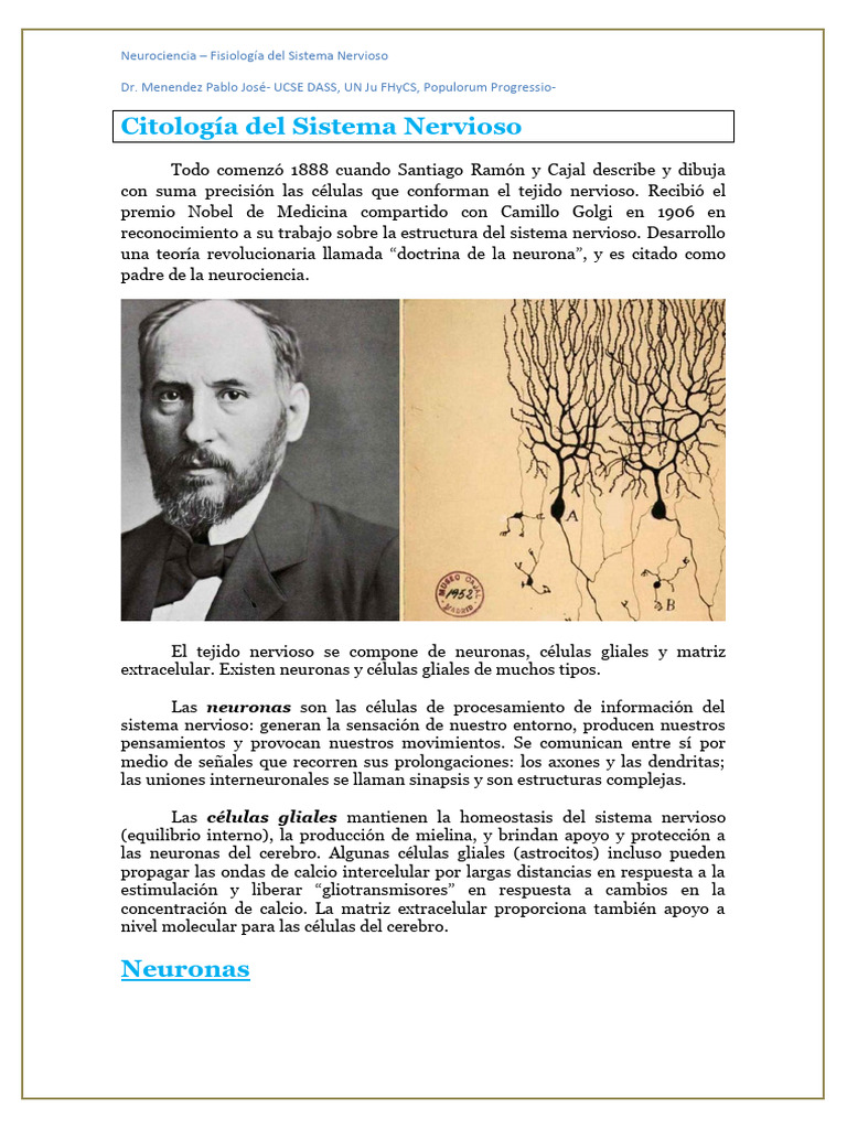 Fisiología del Sistema Nervioso: Neuronas | PDF | Sinapsis | Neurona