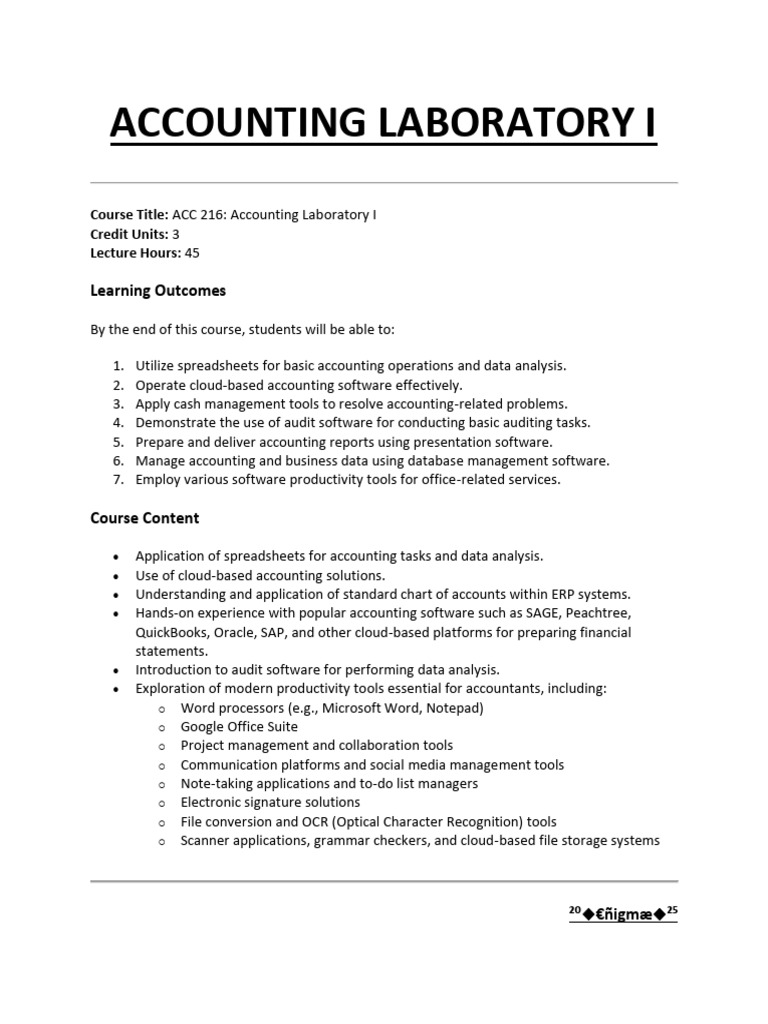 Accounting Lab: Spreadsheets & Cloud Tools | PDF | Spreadsheet | Audit