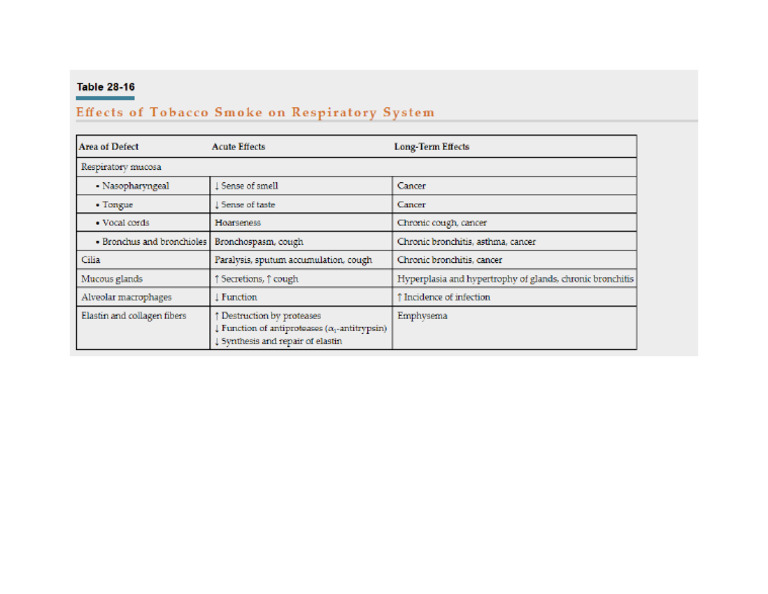 Effects of Smoking | PDF