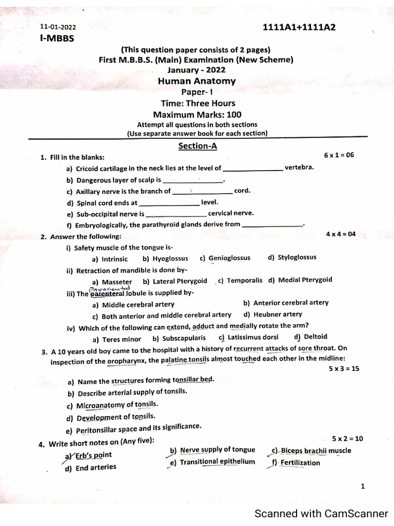 First Year Paper (Aug 2025) | PDF
