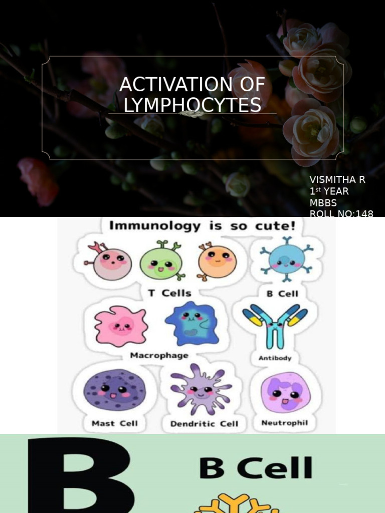 Curated visual reference: Gallery Detail: T Cell Activation Phases Explained Pdf Body Language