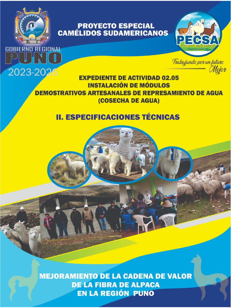 Ii Especificaciones Tecnicas Activ. 02.05 | PDF | Hormigón | Presupuesto