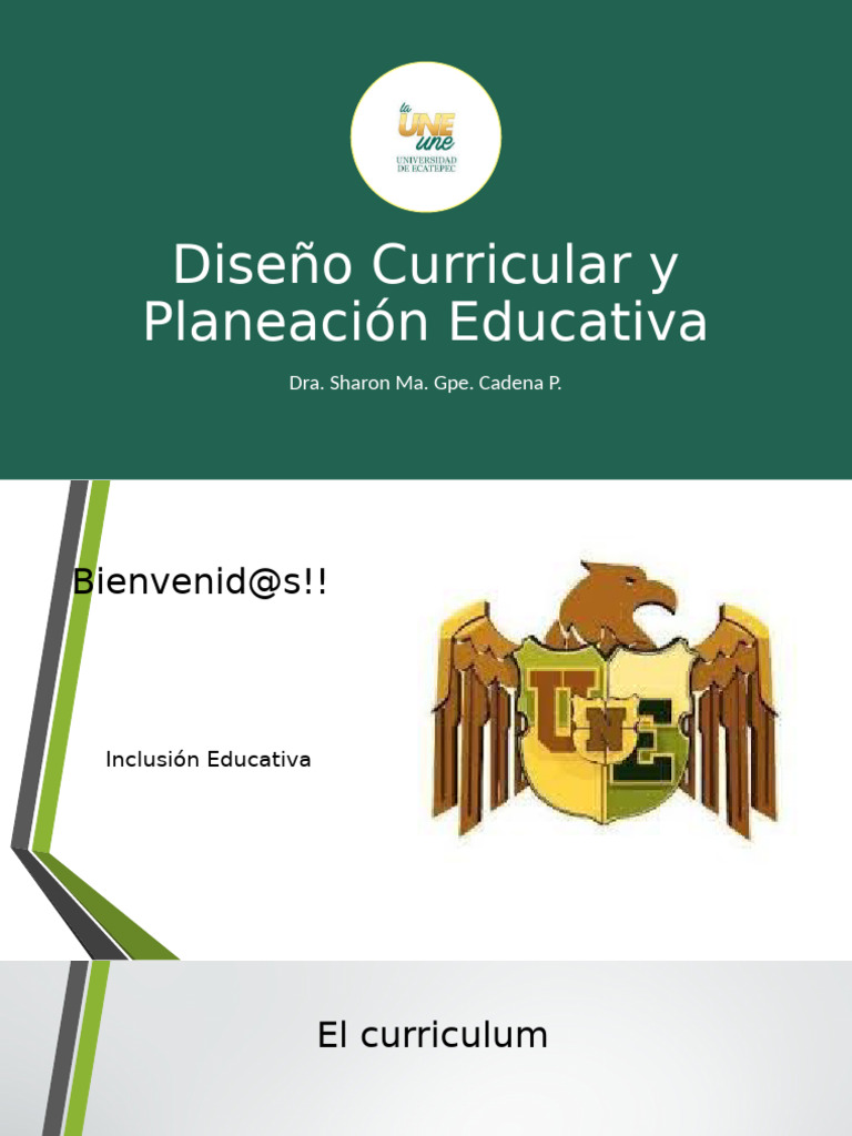 Diseño Curricular | PDF | Plan de estudios | Enseñando