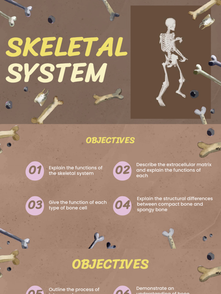 Week+5 +Skeletal+System | PDF | Vertebra | Bone