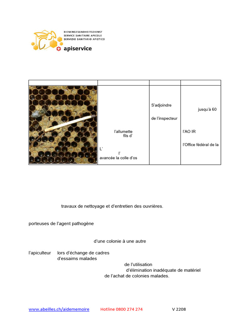 Loque américaine : Diagnostic et prévention | PDF | Entomoculture ...