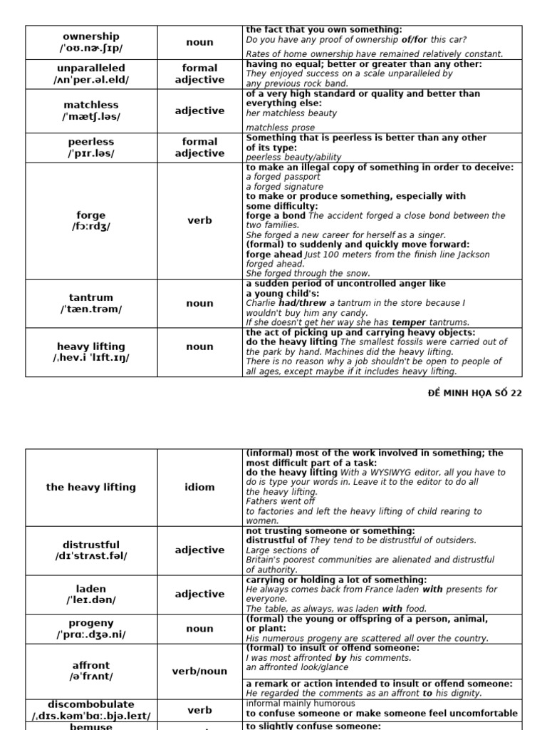 Vocabulary Definitions and Examples | PDF | Adjective | Verb