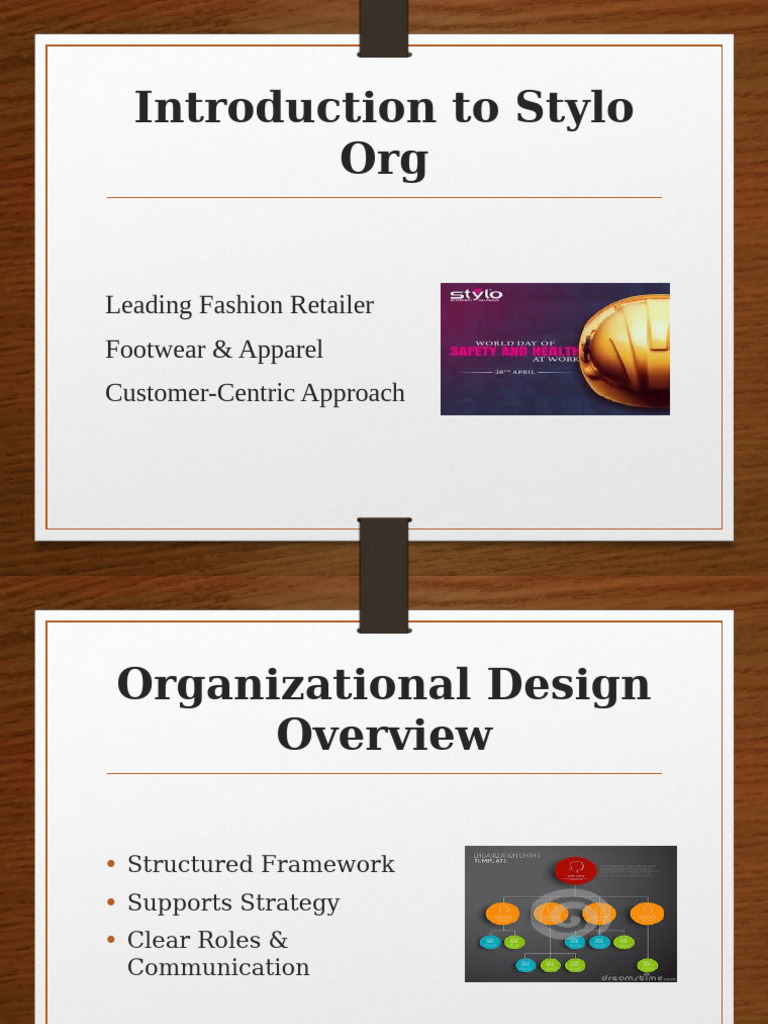 Stylo Org: Customer-Centric Structure Guide | PDF