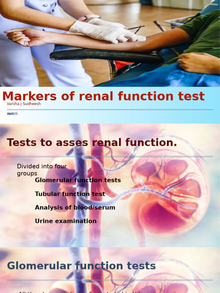 Renal Function Test Markers Explained | PDF | Creatinine | Internal ...