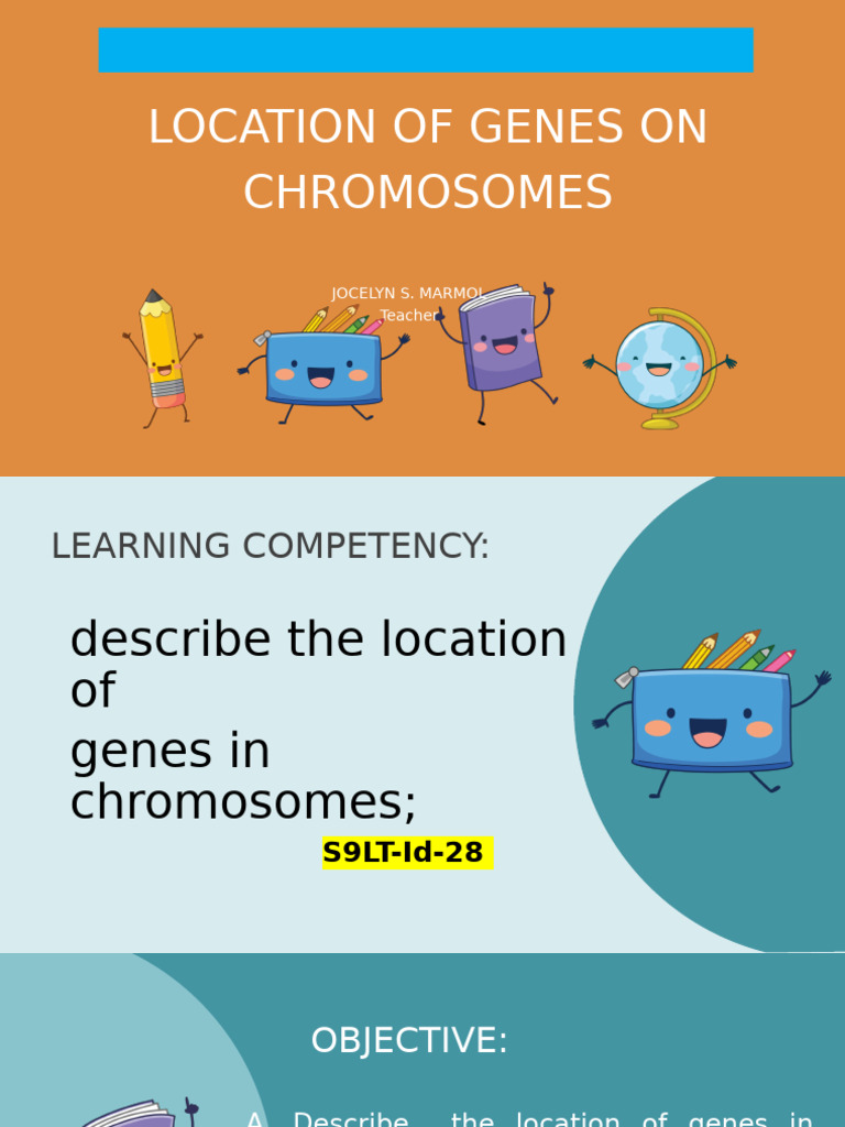 Describe The Location of Genes in The Chromosomes | PDF | Sex | Gene