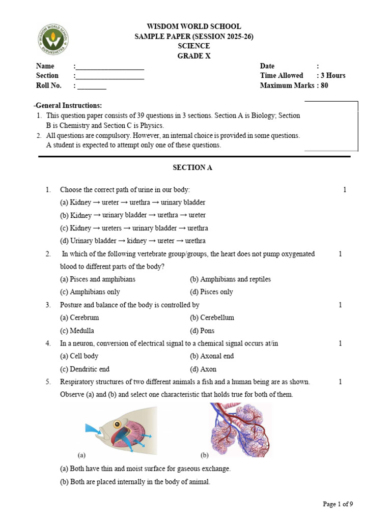 Grade X Science Sample Paper 2025-26 | PDF | Oxide | Magnesium