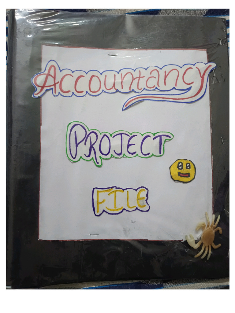 Accounts Project File | PDF