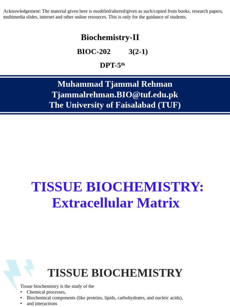 Key Macromolecules in ECM | PDF | Extracellular Matrix | Collagen