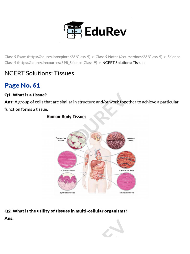 Class 9 Science: Tissues Explained | PDF | Tissue (Biology) | Epithelium