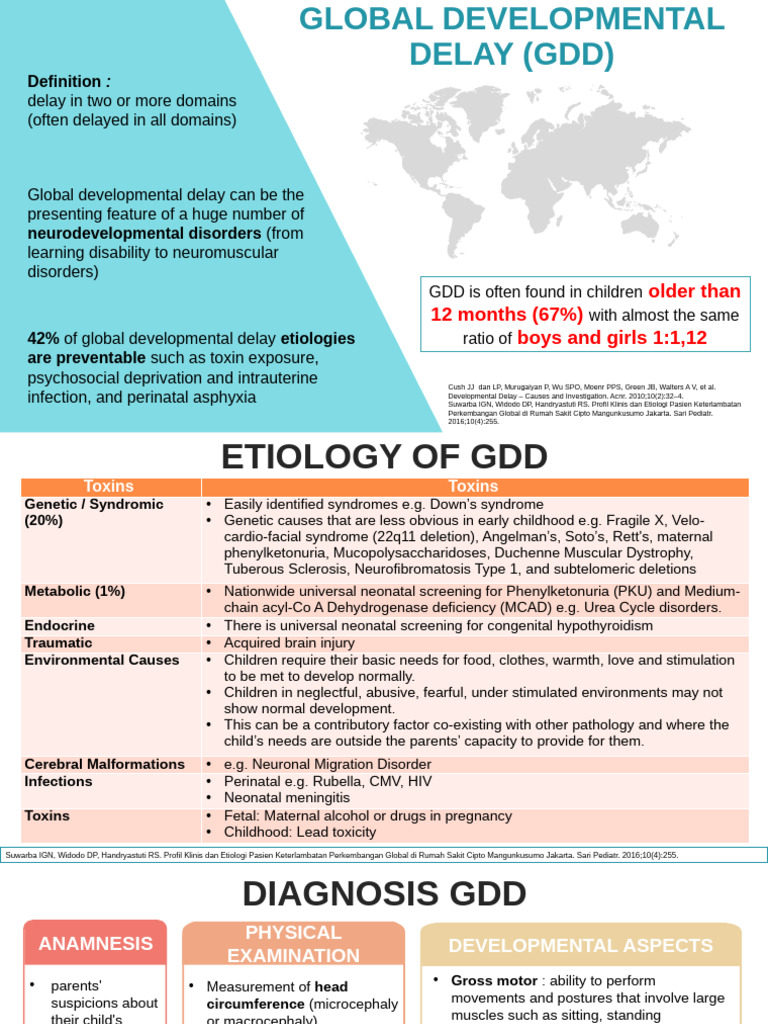 Understanding Global Developmental Delay | PDF | Attention Deficit ...
