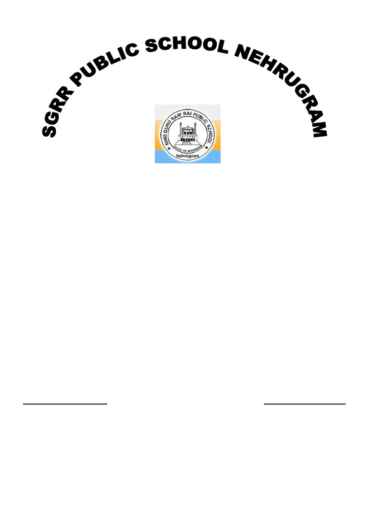 Information Technology Practical File 2024 | PDF | Spreadsheet | Databases
