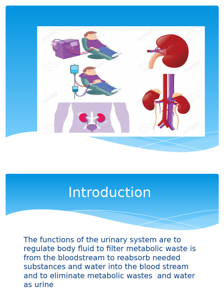 Understanding Renal Replacement Therapy | PDF | Kidney Transplantation ...