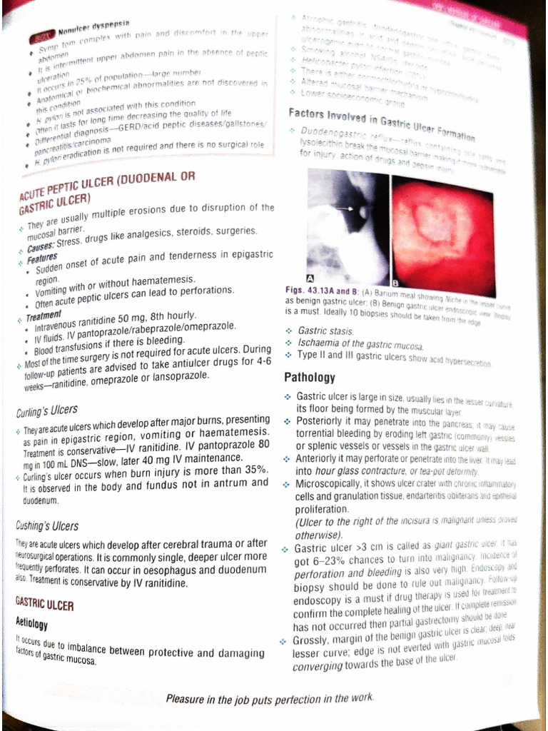 ACE Scanner - 2025 - 09 - 07 | PDF