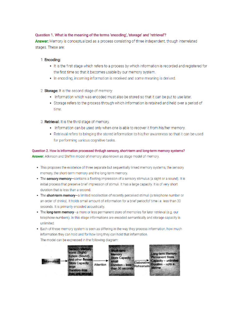 Human Memory Psycholgy Ncert Solutions | PDF