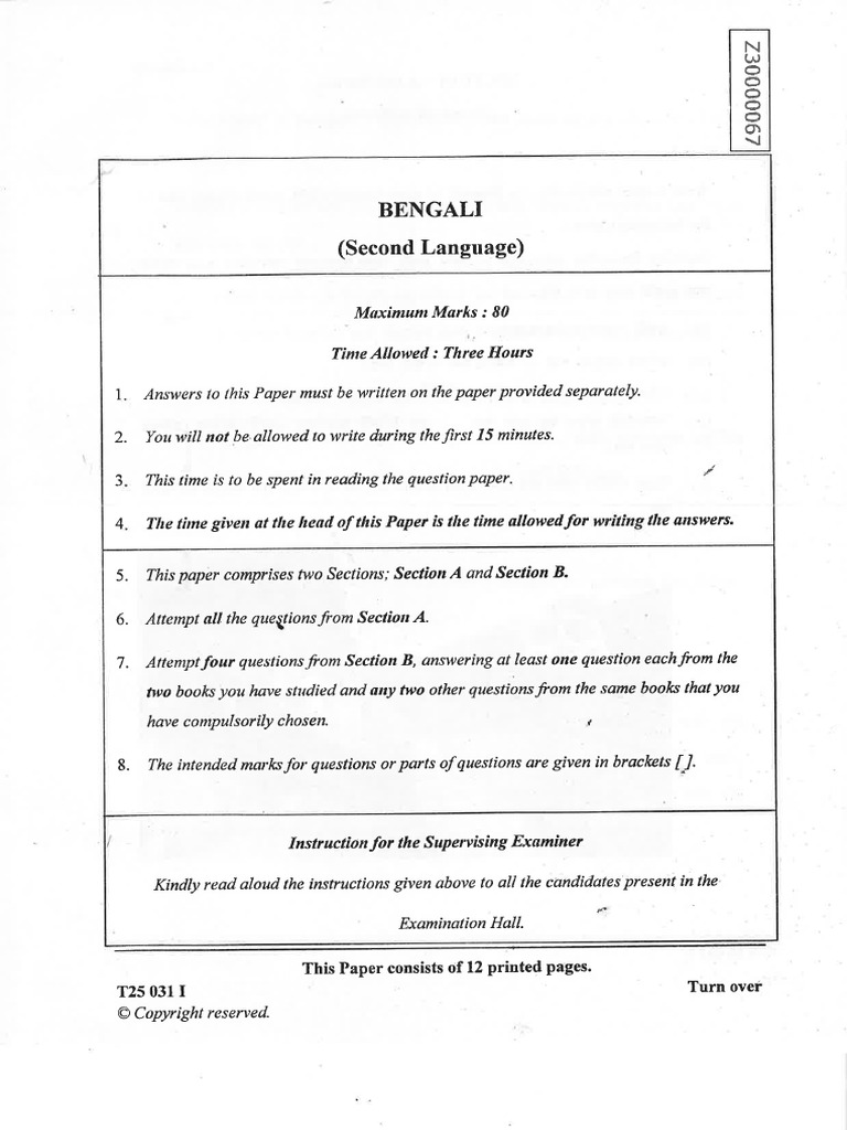 ICSE 2025 Improvement - 031 - BEN | PDF