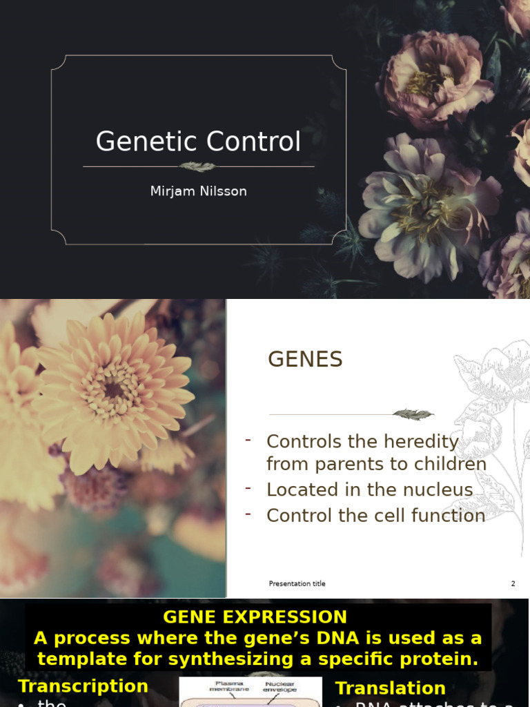 Understanding Genetic Control Mechanisms | PDF | Mitosis | Meiosis