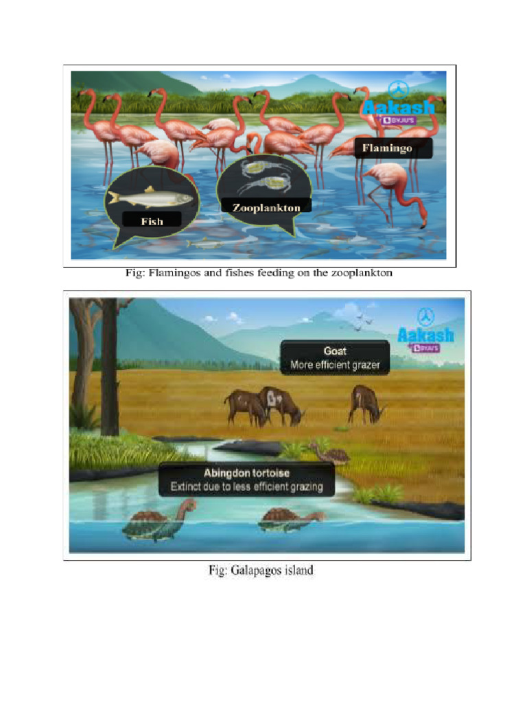Population Interaction | PDF