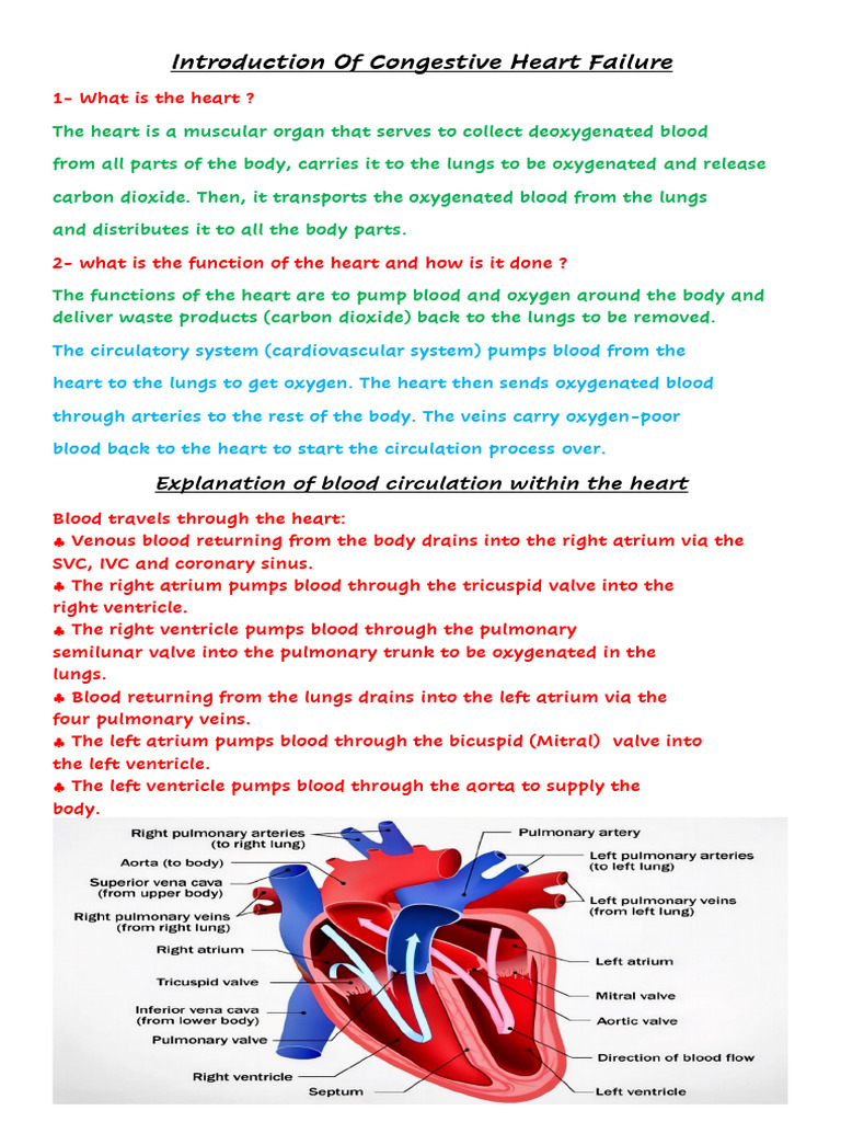Understanding Congestive Heart Failure | PDF