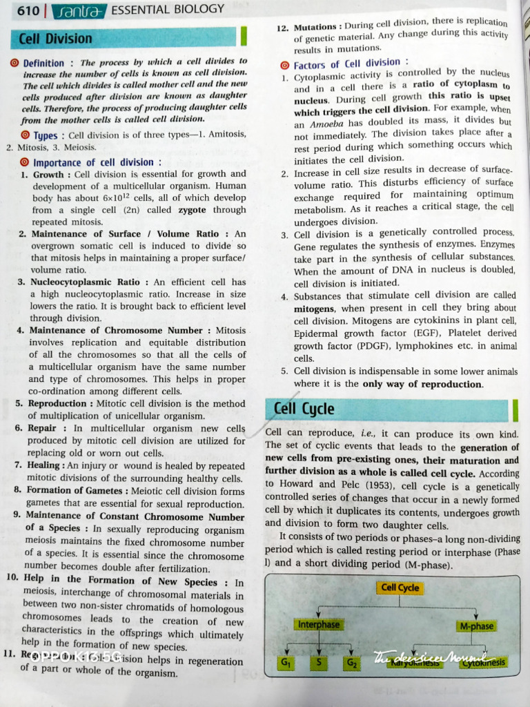 Cell Cycle and Cell Division | PDF