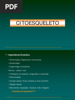 aula 9_CITOESQUELETO