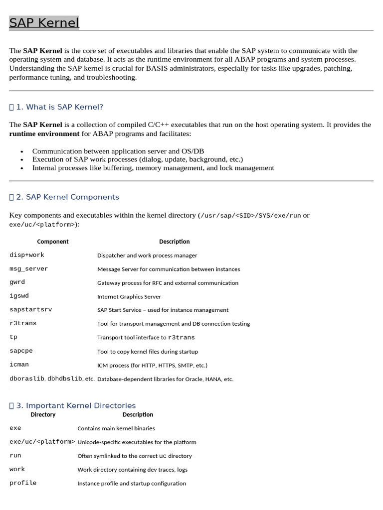 SAP Kernel | PDF | Operating System | Kernel (Operating System)